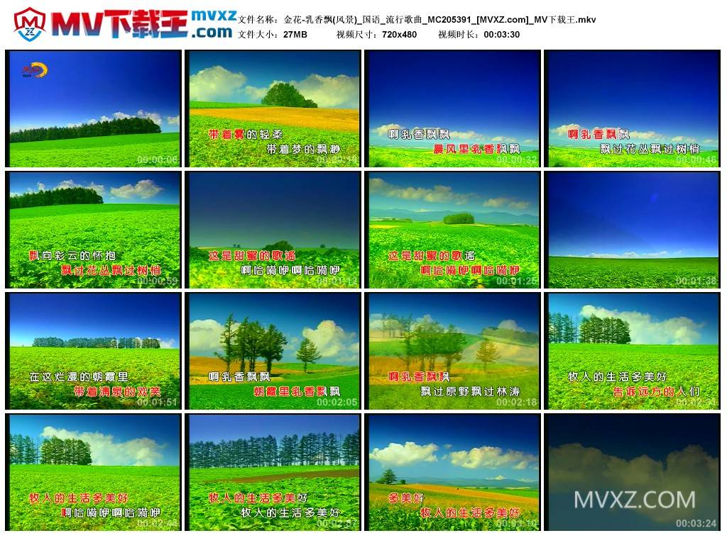 金花-乳香飘(风景)_国语_流行歌曲_MC205391